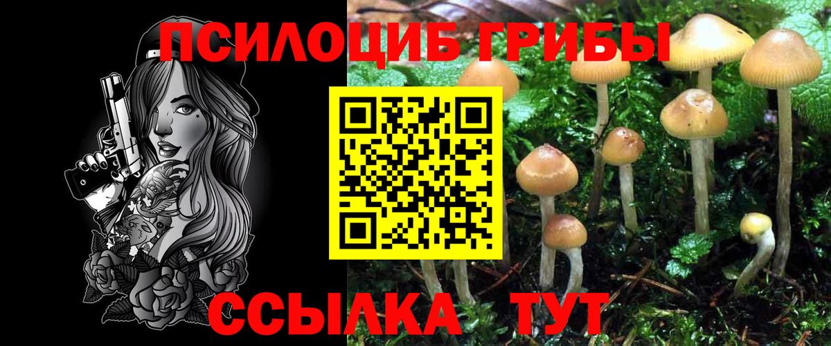 Галлюциногенные грибы GOLDEN TEACHER  Вход с VPN  Валуйки 