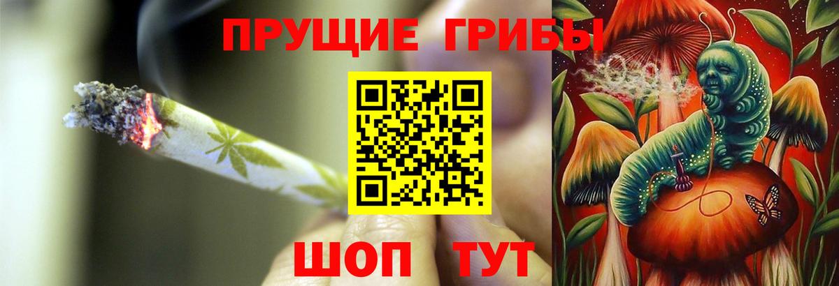 Псилоцибиновые грибы Cubensis Валуйки